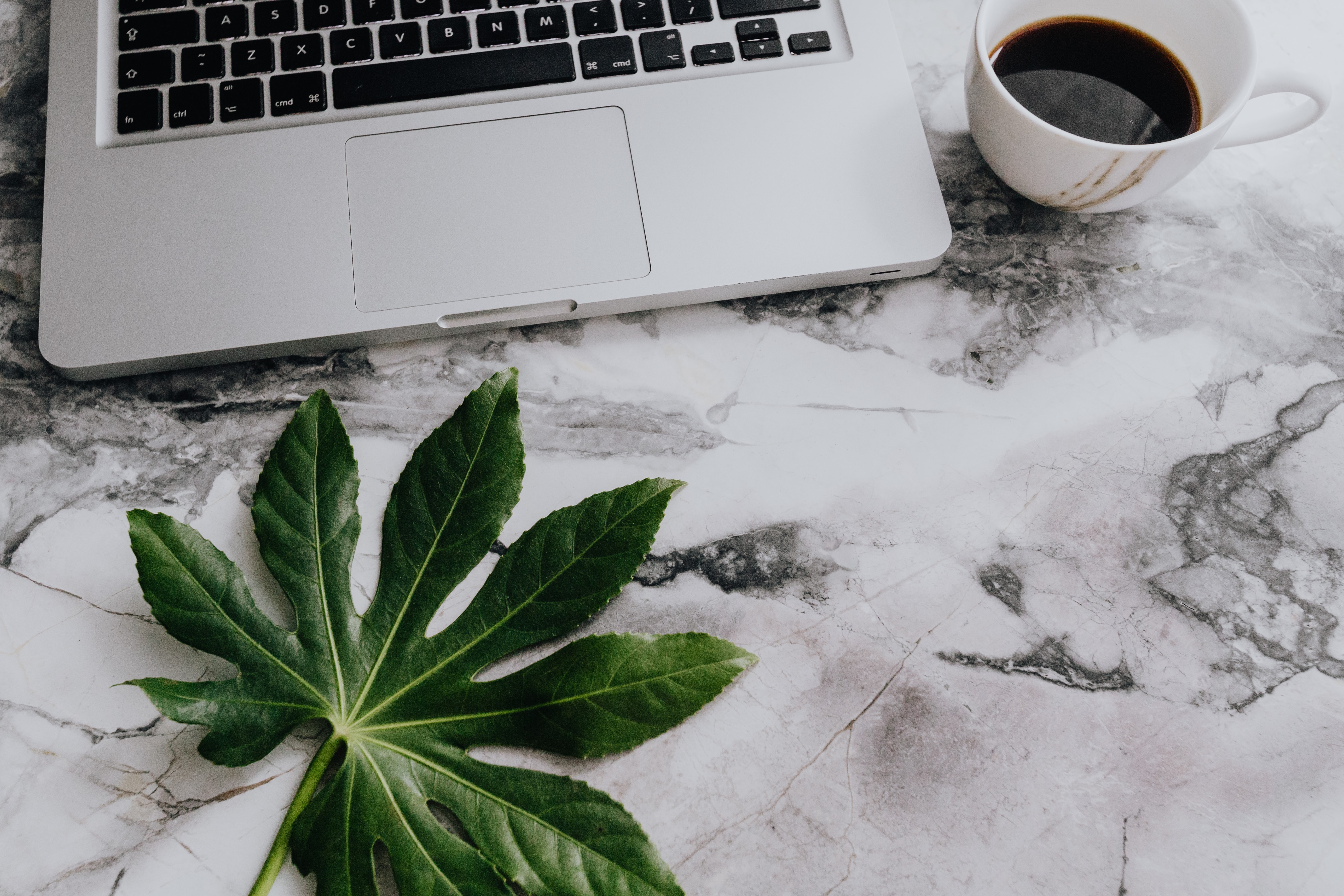 Jak się uczę: React