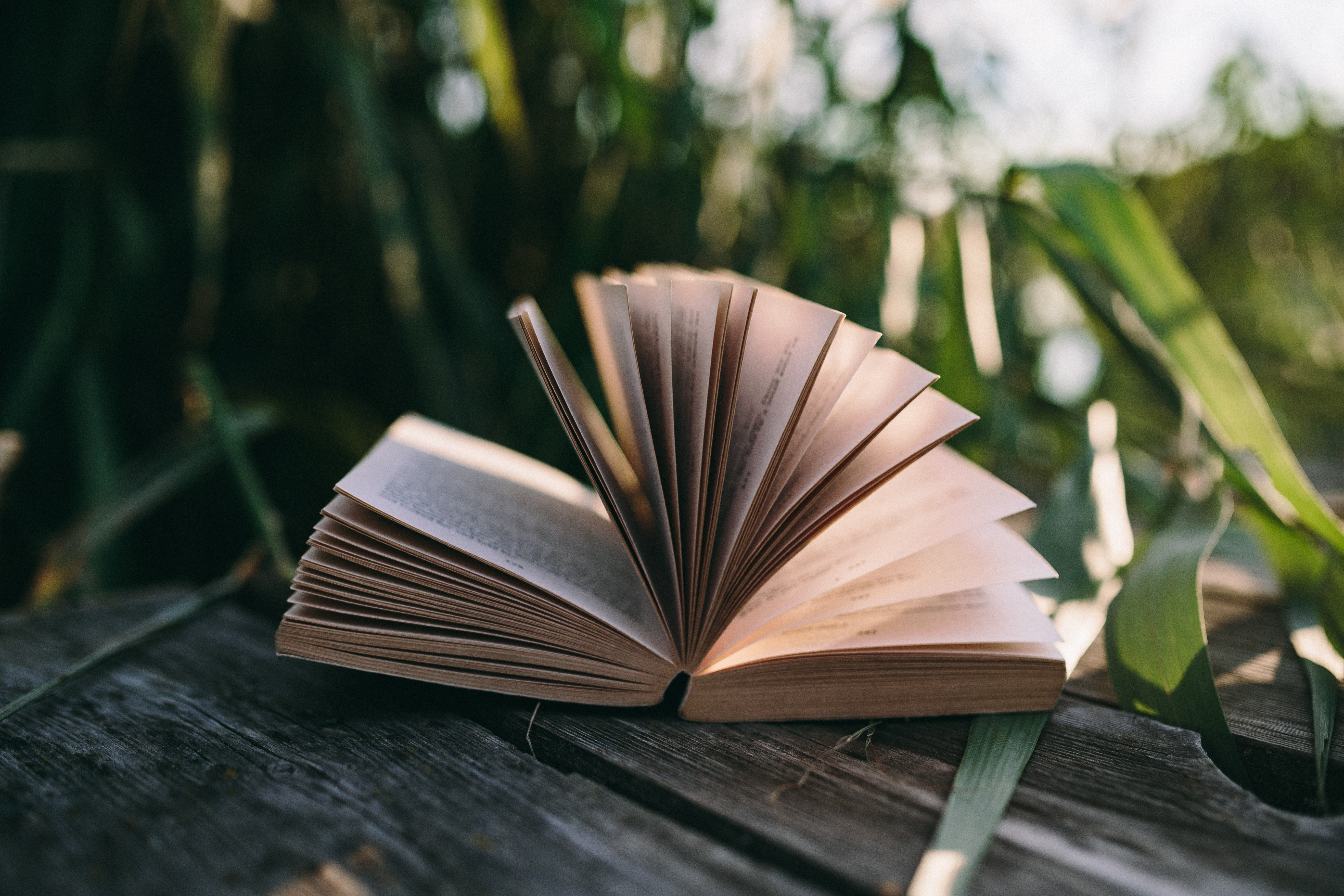 Lista lektur na wakacje